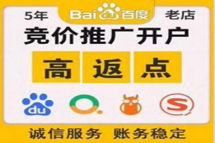 创新驱动：SEM竞价优化的多维度案例分析
